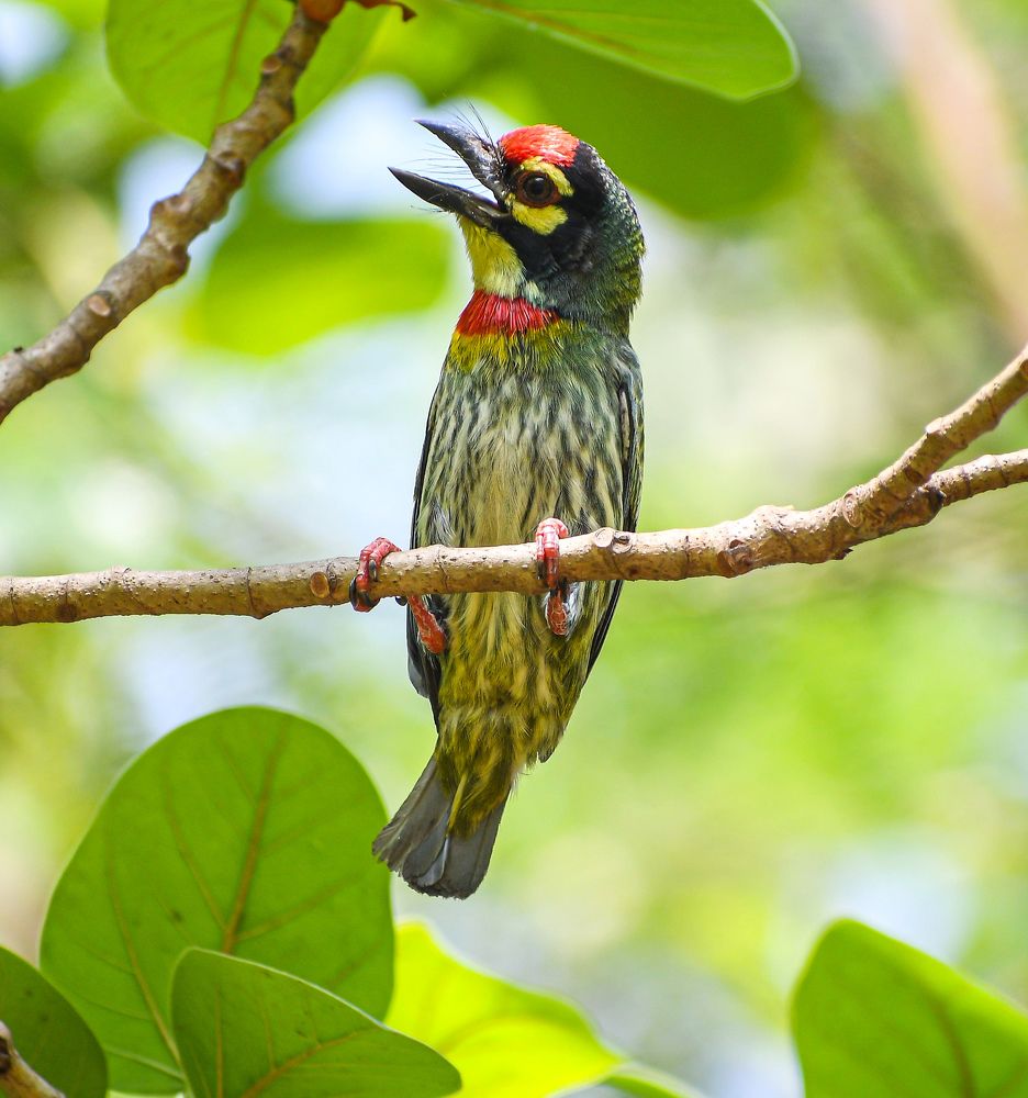 Photograph by Soumak bindu