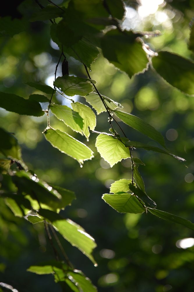 Photograph by Ольга Струкалина