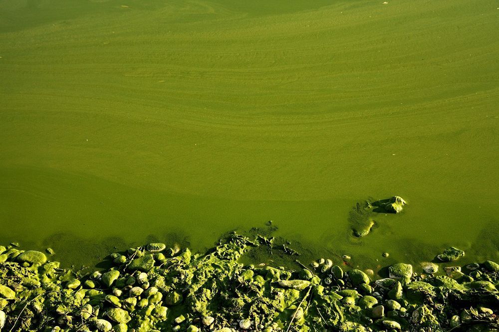 Photograph by Юрий Варюхин