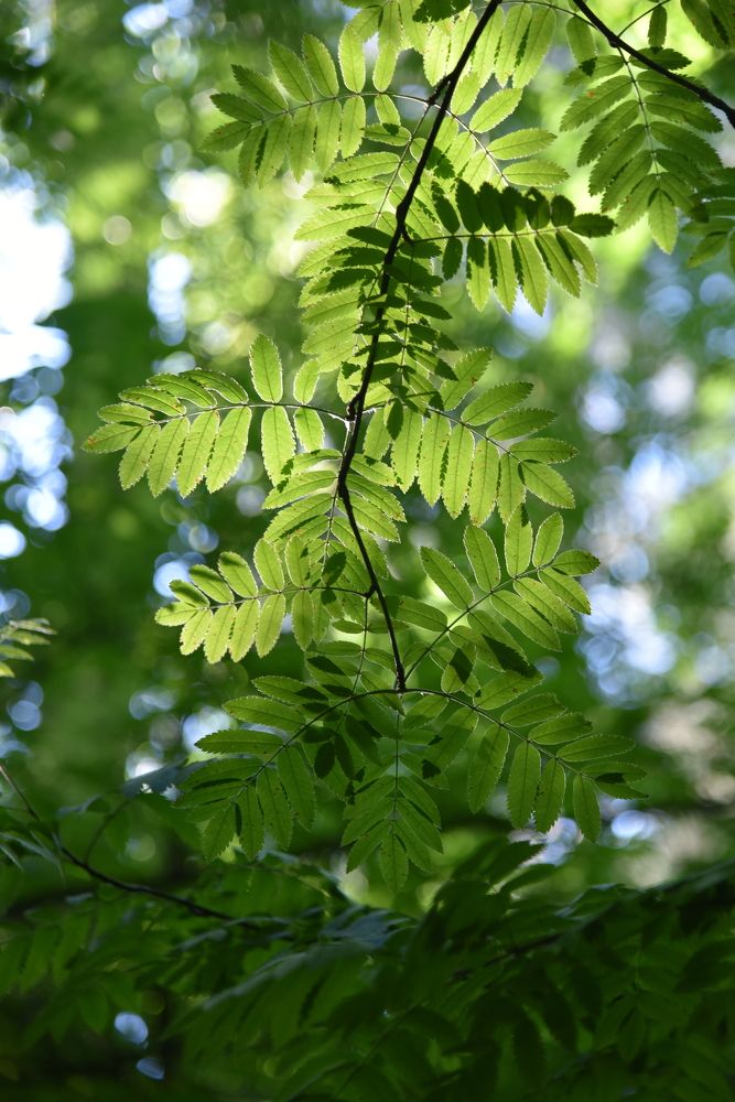 Photograph by Ольга Струкалина