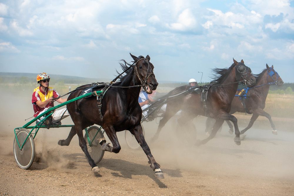 Фотография автора Сергей Чесноков