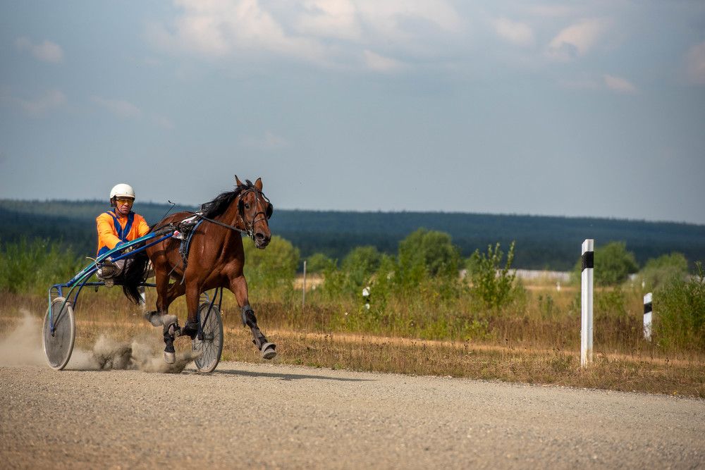 Фотография автора Сергей Чесноков