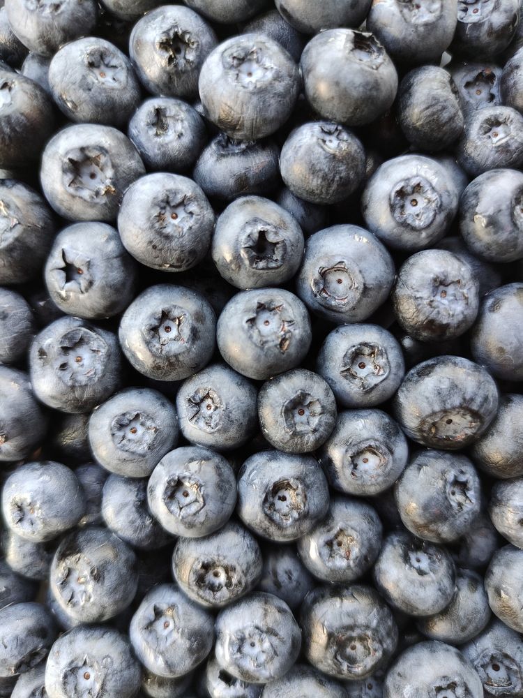 Photograph by Ирина Алексеевская