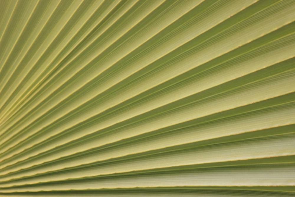 Photograph by Muharrem Bayrmoğlu