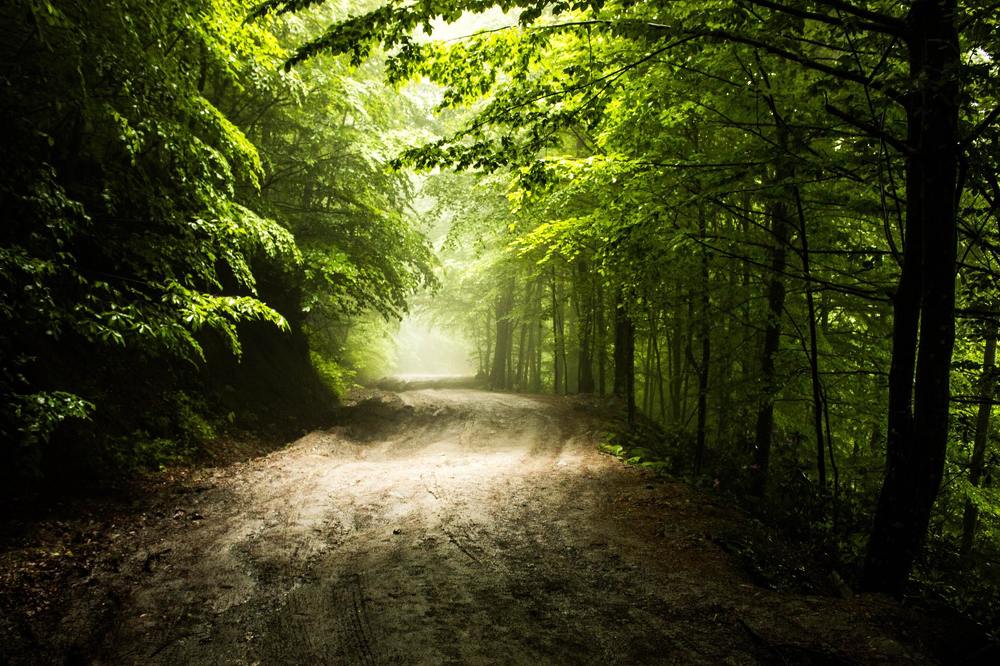 Photograph by Muharrem Bayrmoğlu