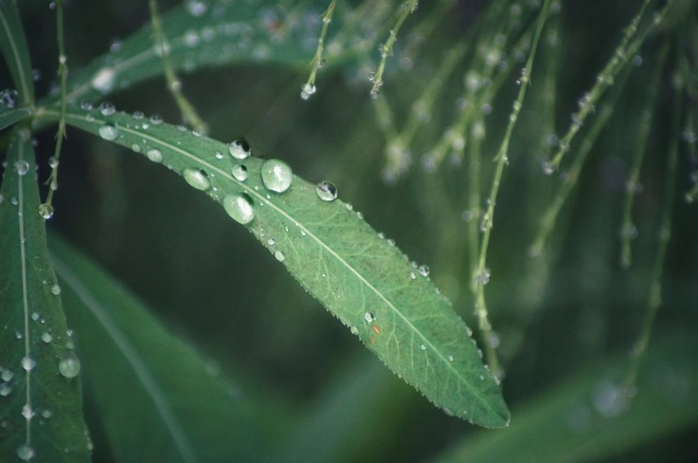 Photograph by Юрий Гау