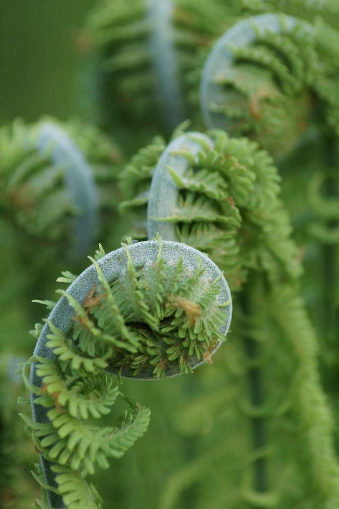 Photograph by Юрий Гау