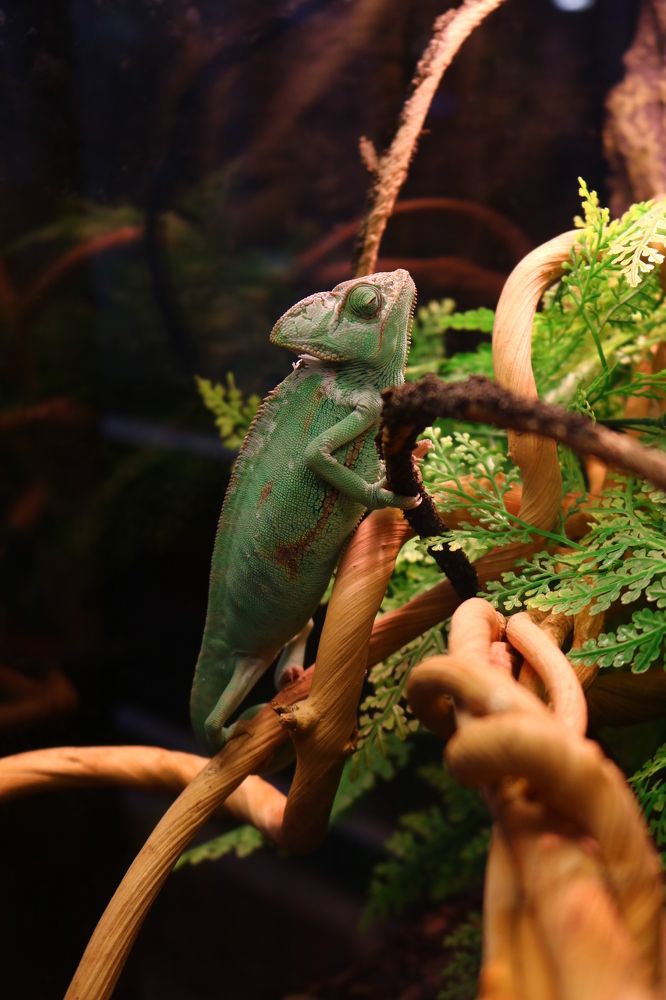 Photograph by Светлана Шуткова