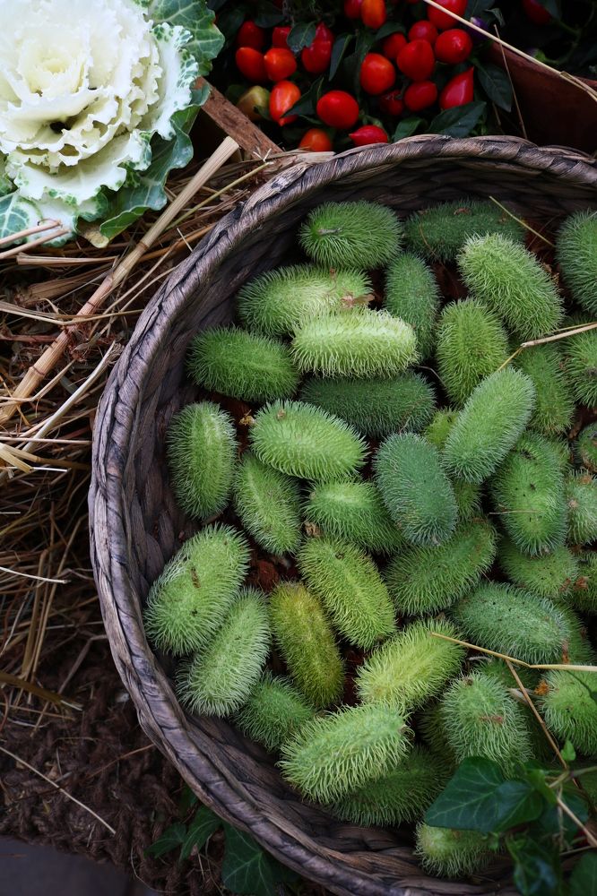 Photograph by Светлана Шуткова