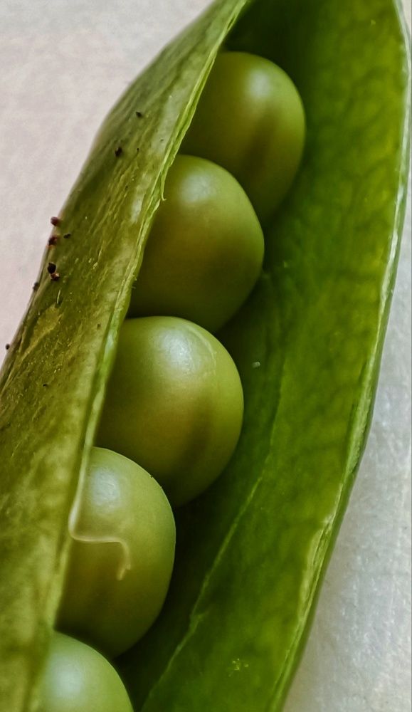 Фотография автора Emamian