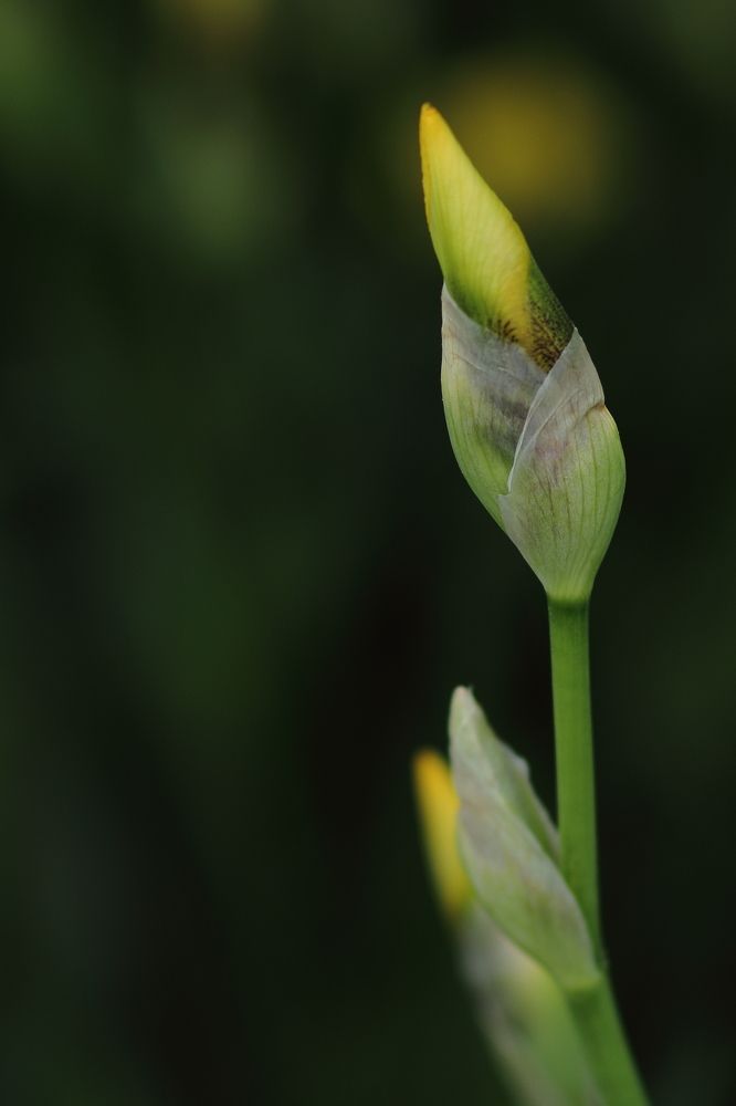 Photograph by Александр Литвиненко