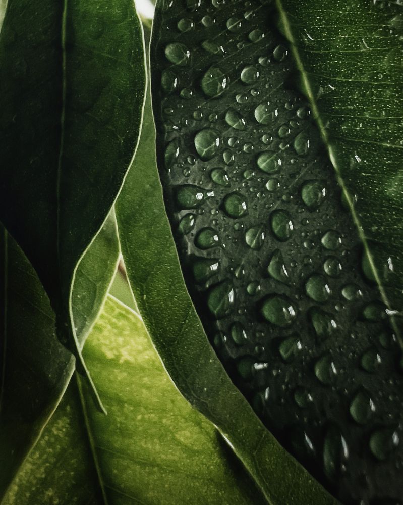 Photograph by Александр Маргачев