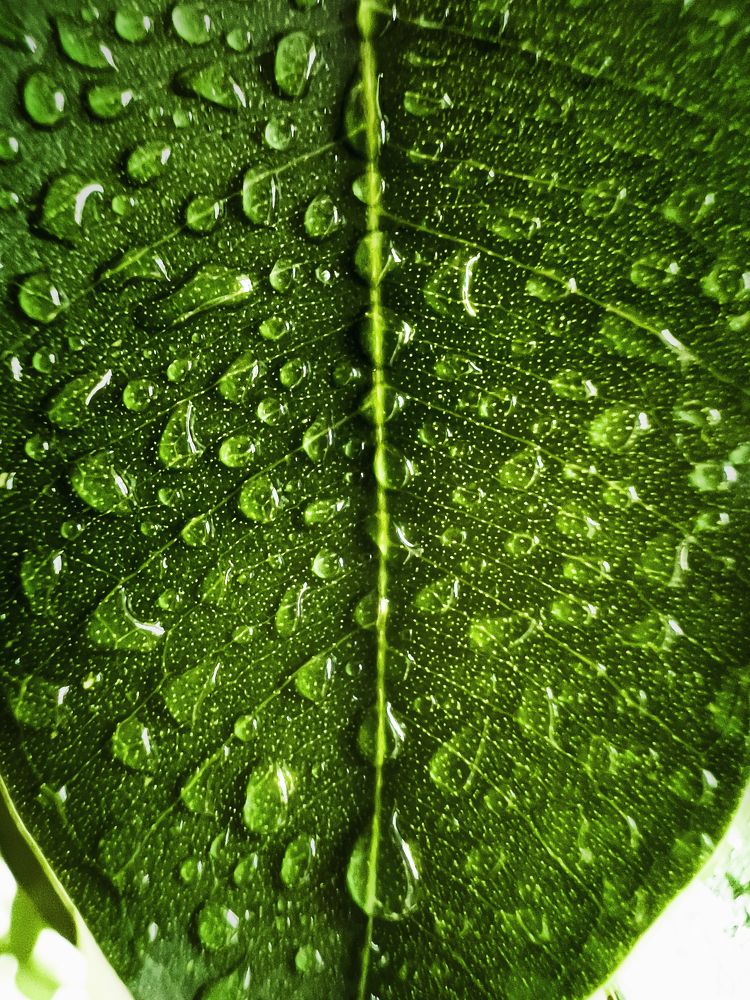 Photograph by Александр Маргачев