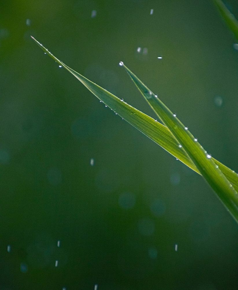 Photograph by Герман Корнеев