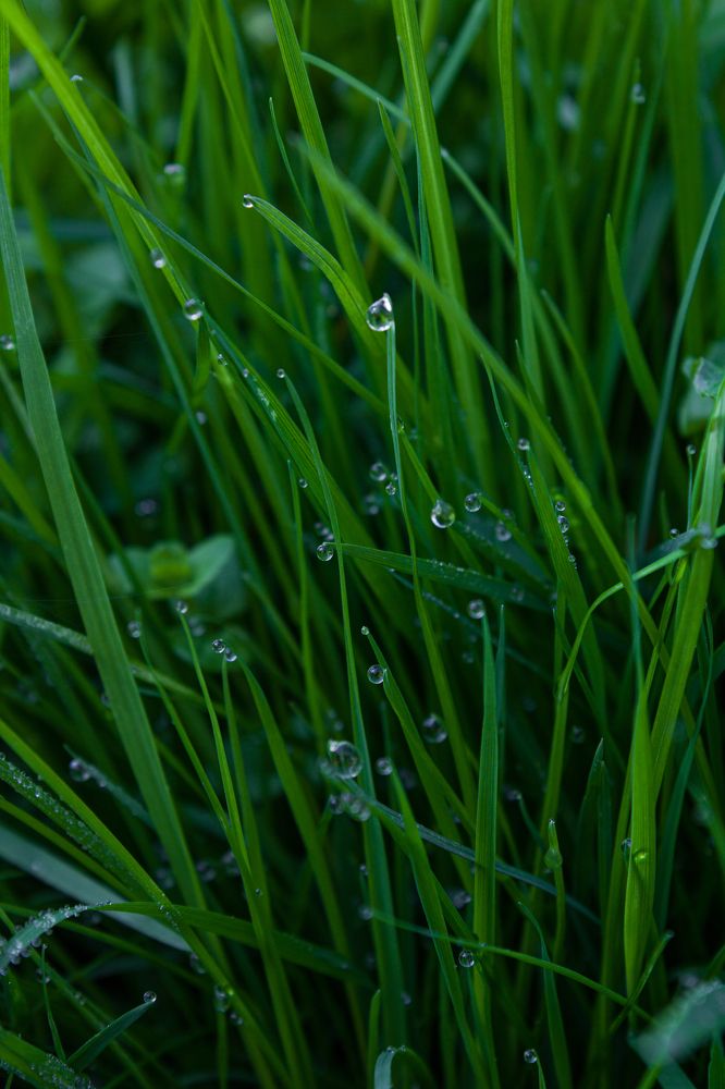 Photograph by Герман Корнеев