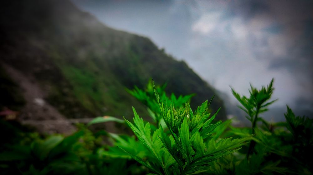 Фотография автора Arnab Nandi