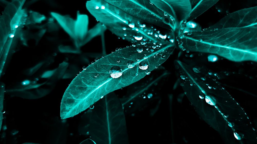 Фотография автора Arnab Nandi