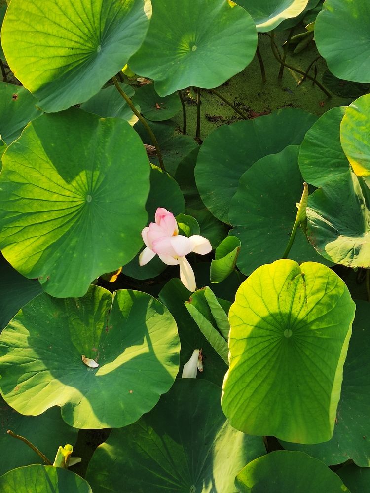 Photograph by Ирина Алексеевская