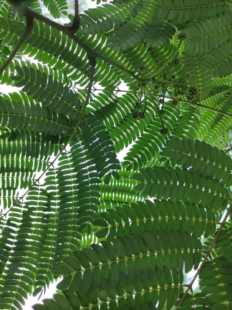 Photograph by Ирина Алексеевская