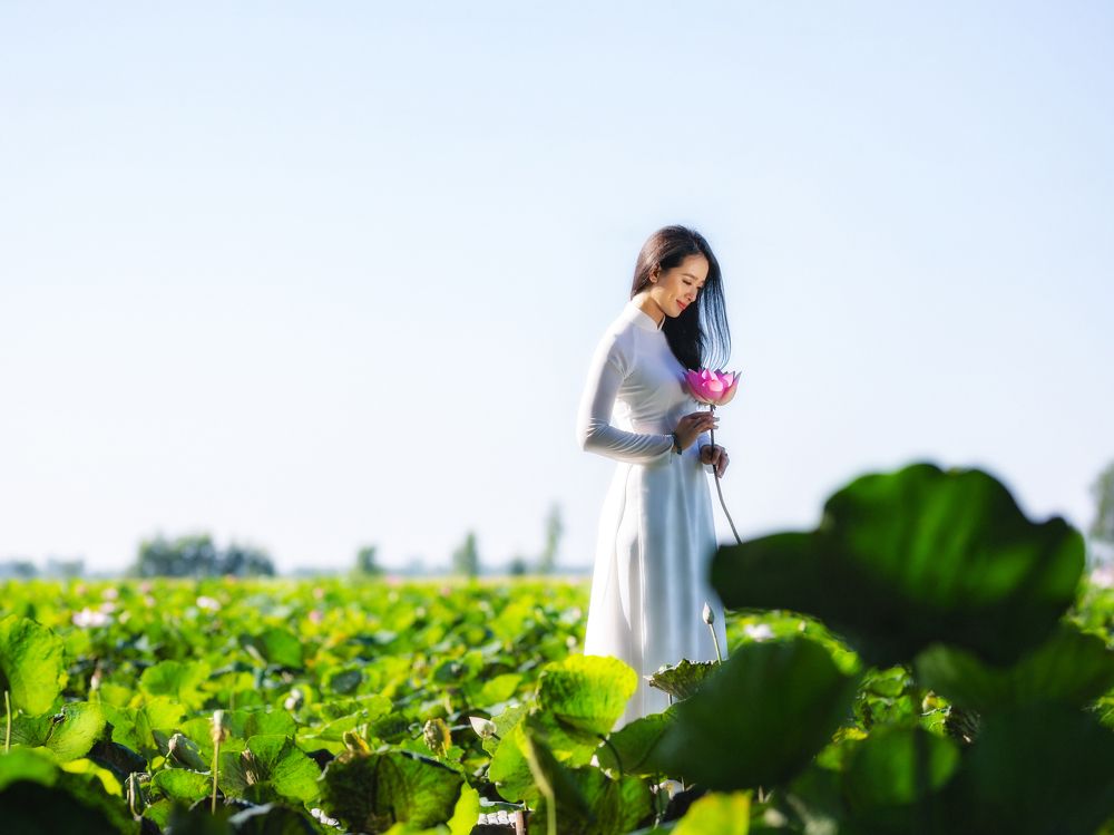 Photograph by phong nguyen