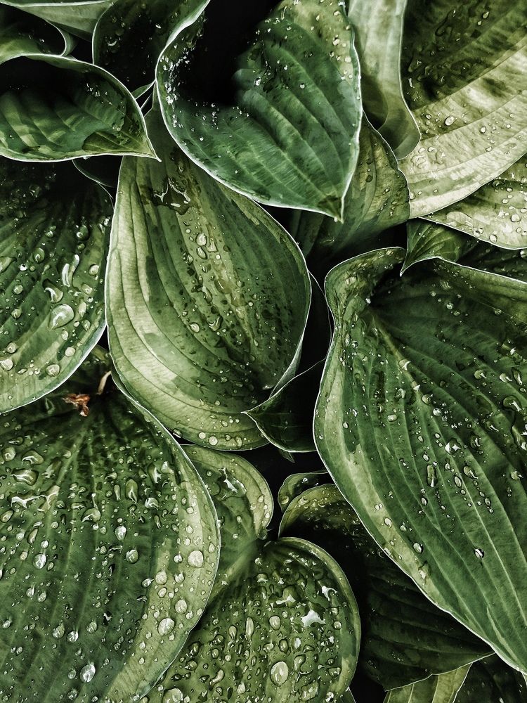 Photograph by Кристина Луканова