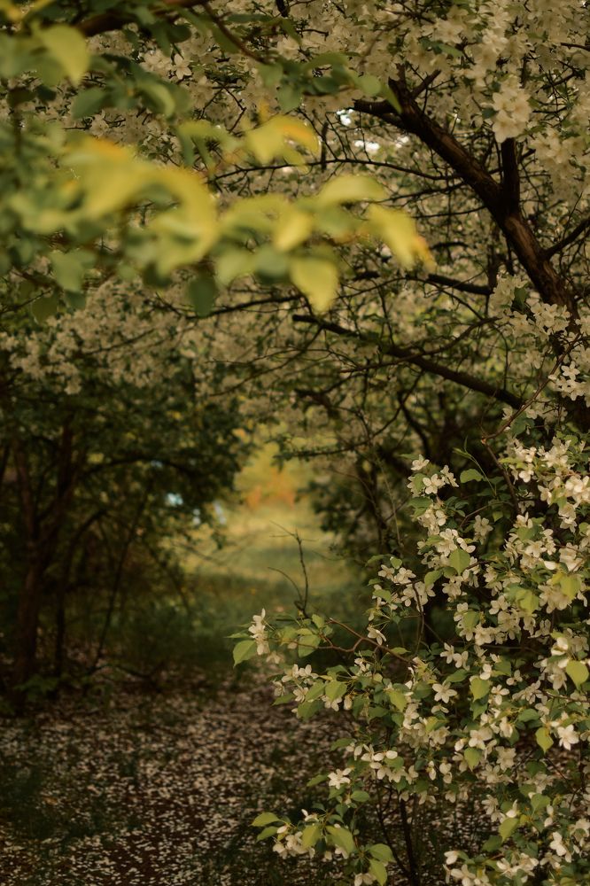 Photograph by Светлана Кузнецова
