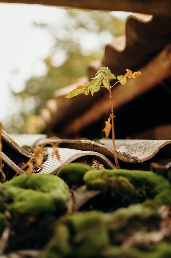 Photograph by Светлана Кузнецова