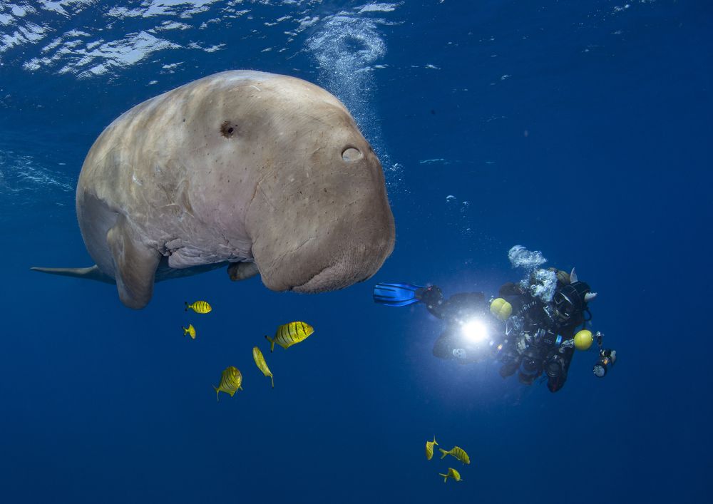 Photograph by Юрий Перевозников