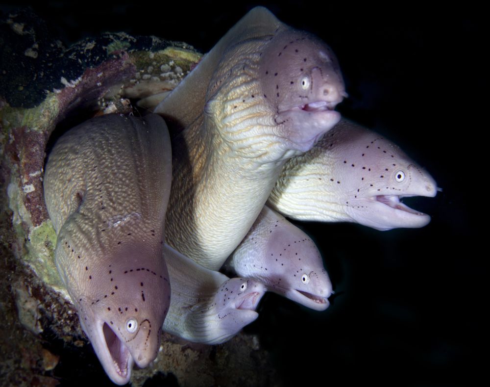 Photograph by Юрий Перевозников