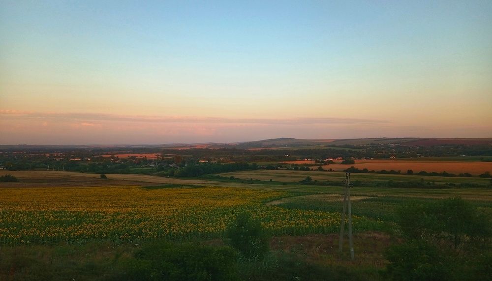 Photograph by Maiya Bulatova