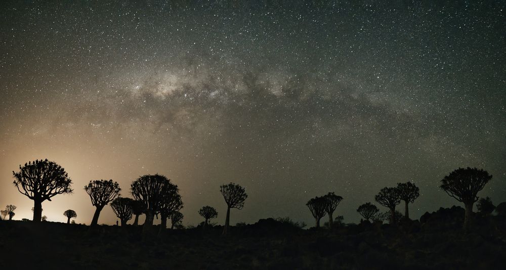 Photograph by Владимир Луценко