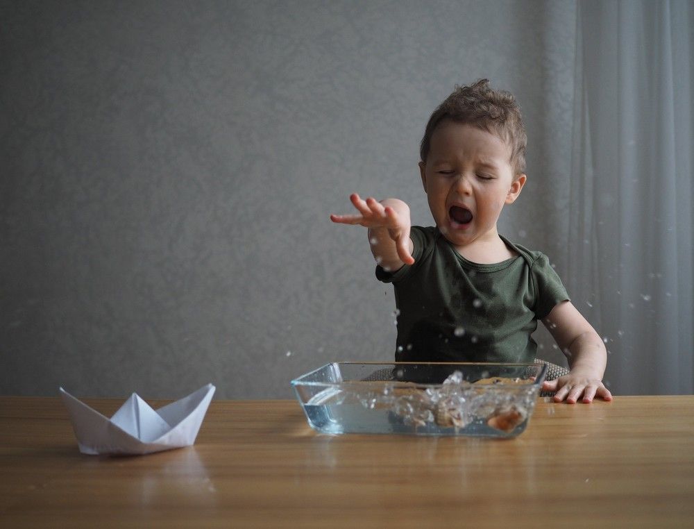 Фотография автора Polina Sobolnikova