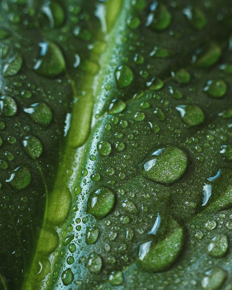 Фотография автора Наталья Ветошкина