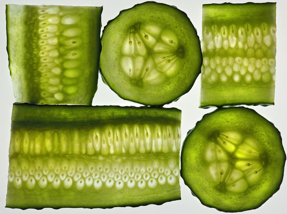 Photograph by Елена Харитонова