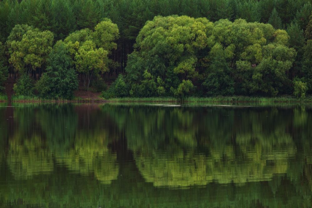 Фотография автора Наталья Ветошкина