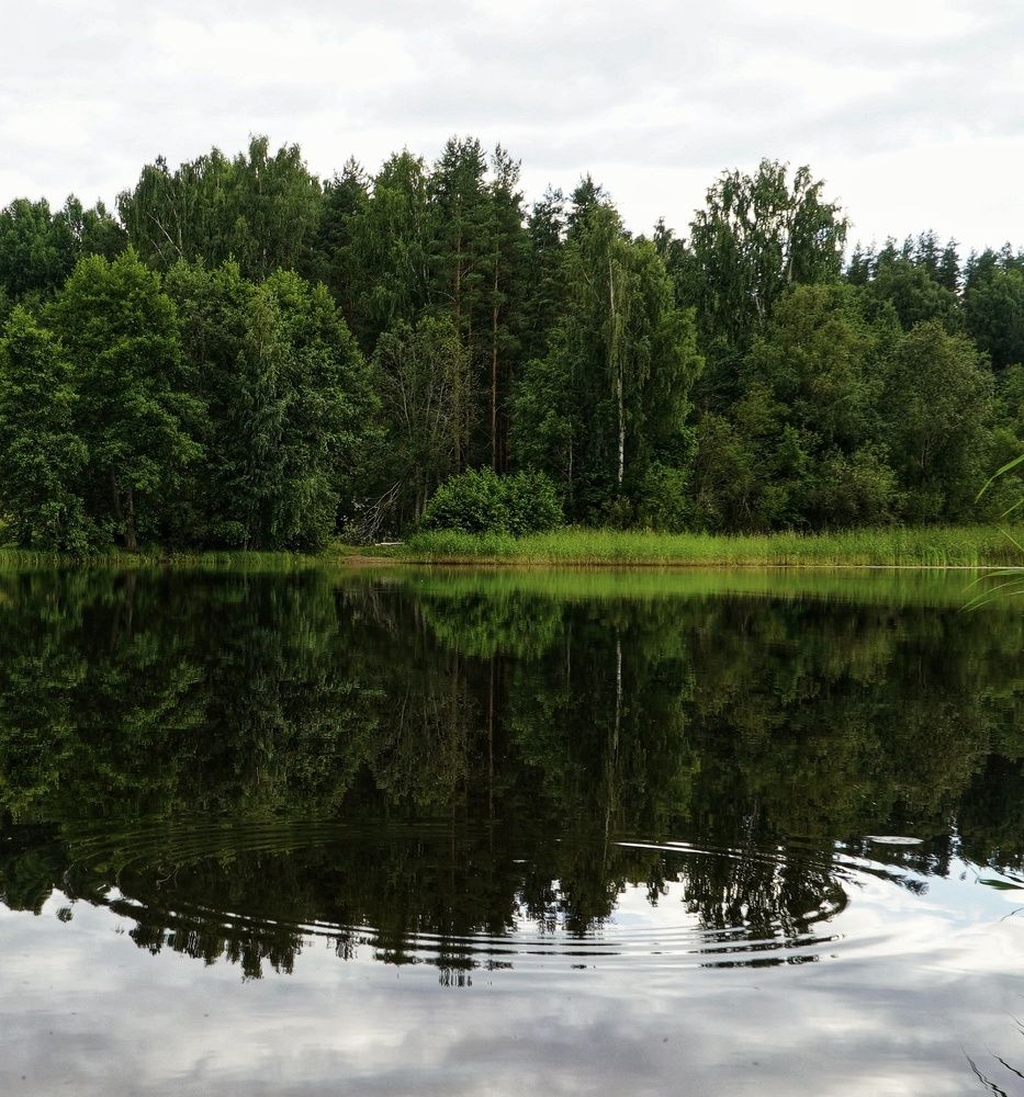 Photograph by Марина Безенкина