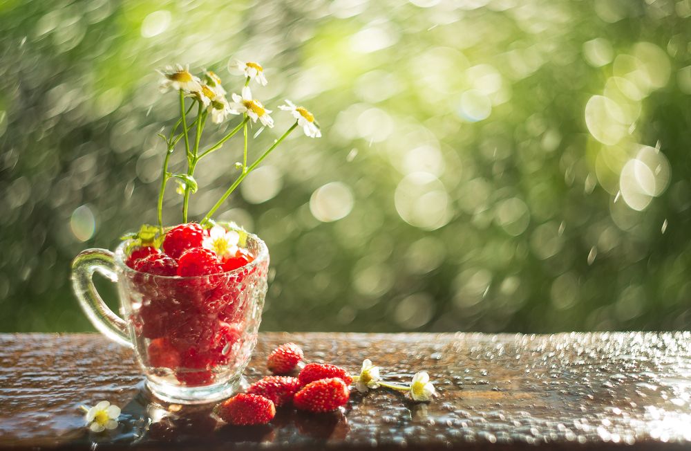 Дачные истории