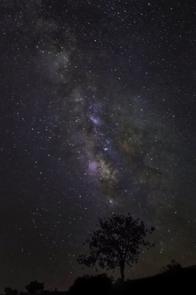 Photograph by farshid ashkar