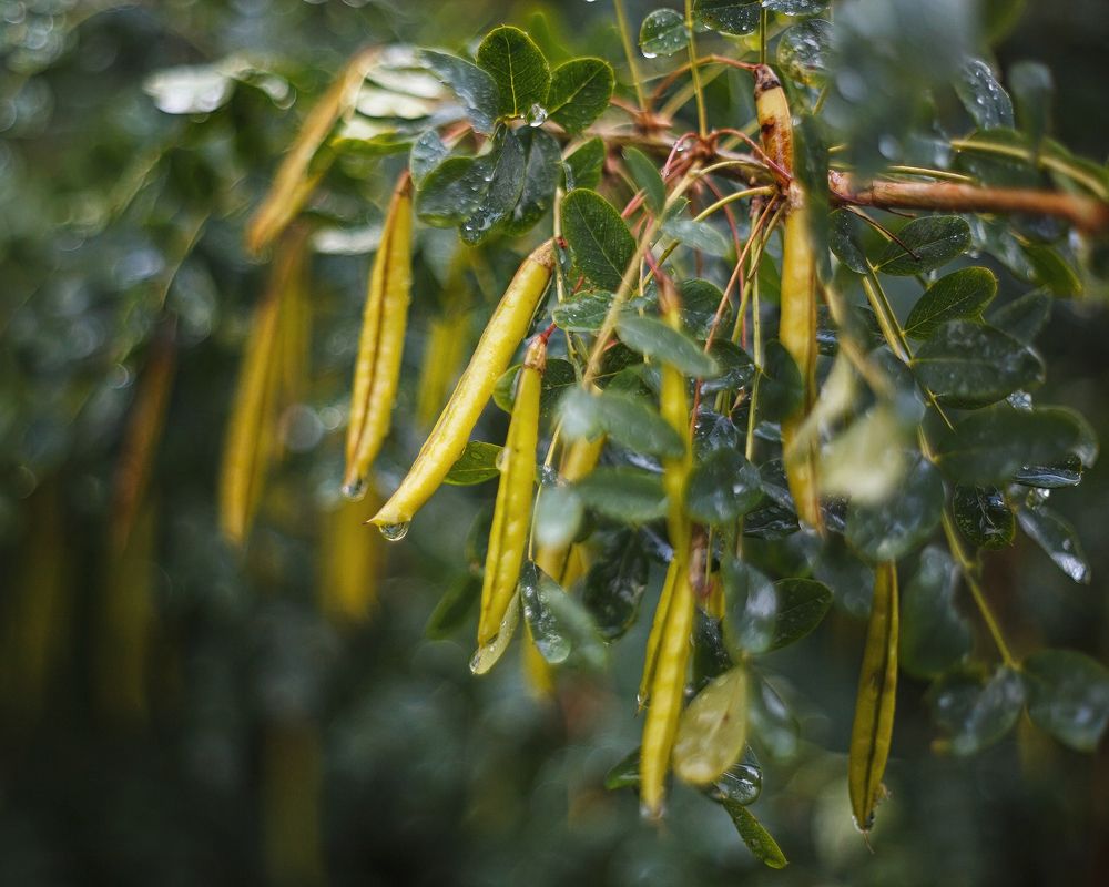 Фотография автора Наталья Ветошкина