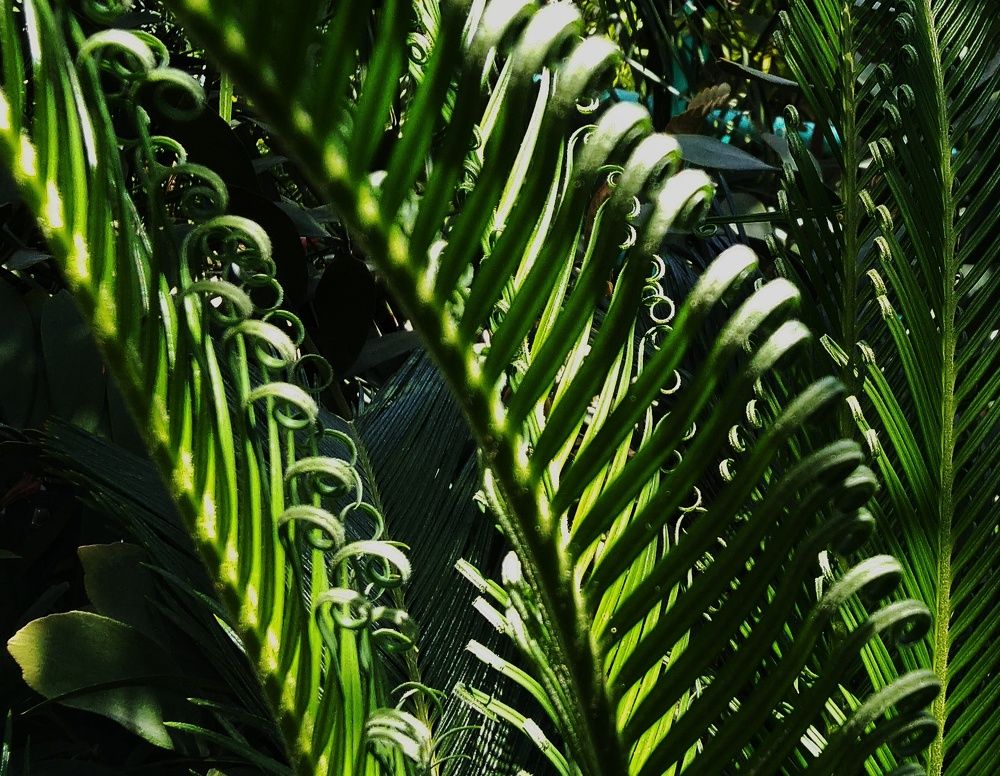 Photograph by Анна Матецкая