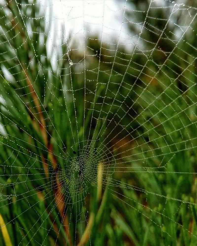 Фотография автора Тамара Караваева