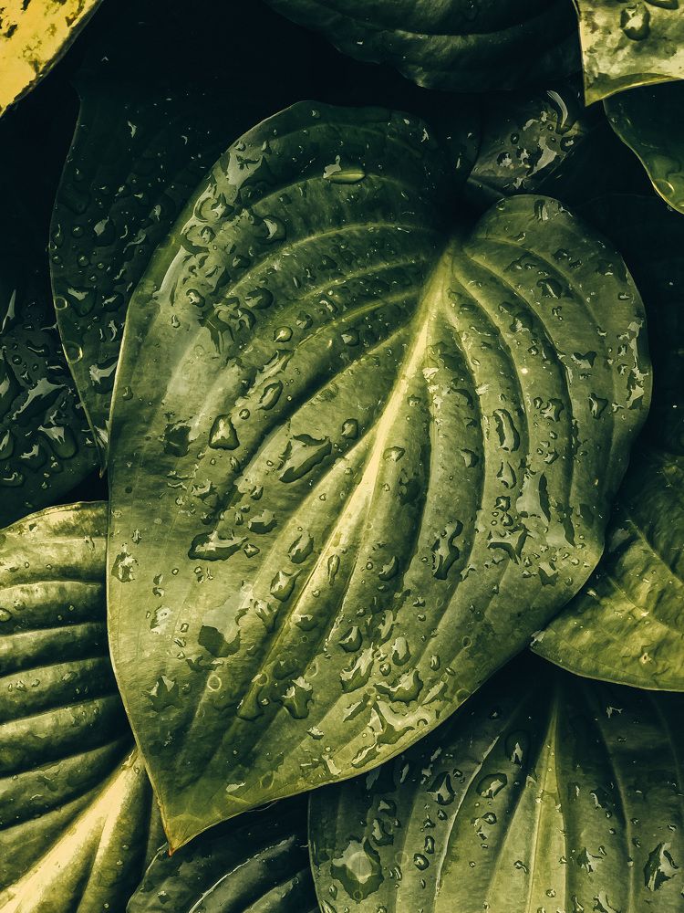 Photograph by Людмила Евстратова