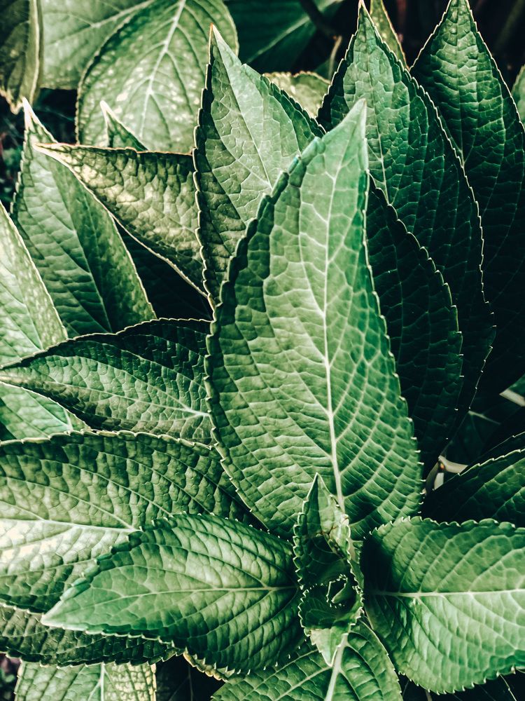 Photograph by Людмила Евстратова