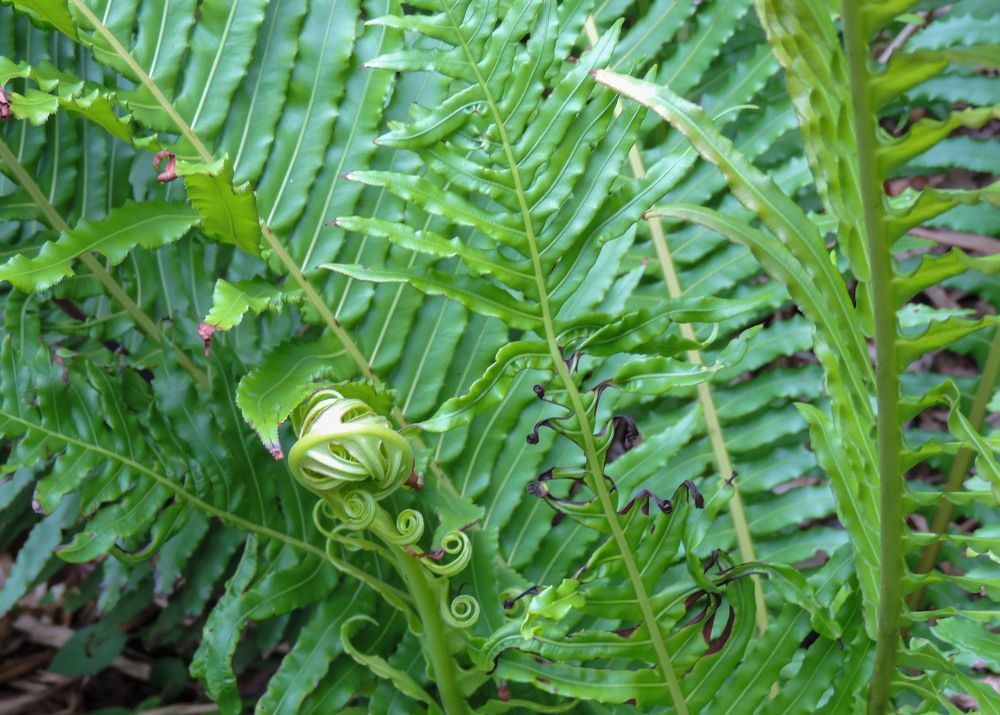 Photograph by Lucía Ruiz