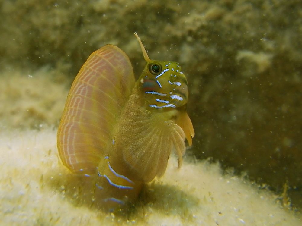 Photograph by Григорий Прокопов