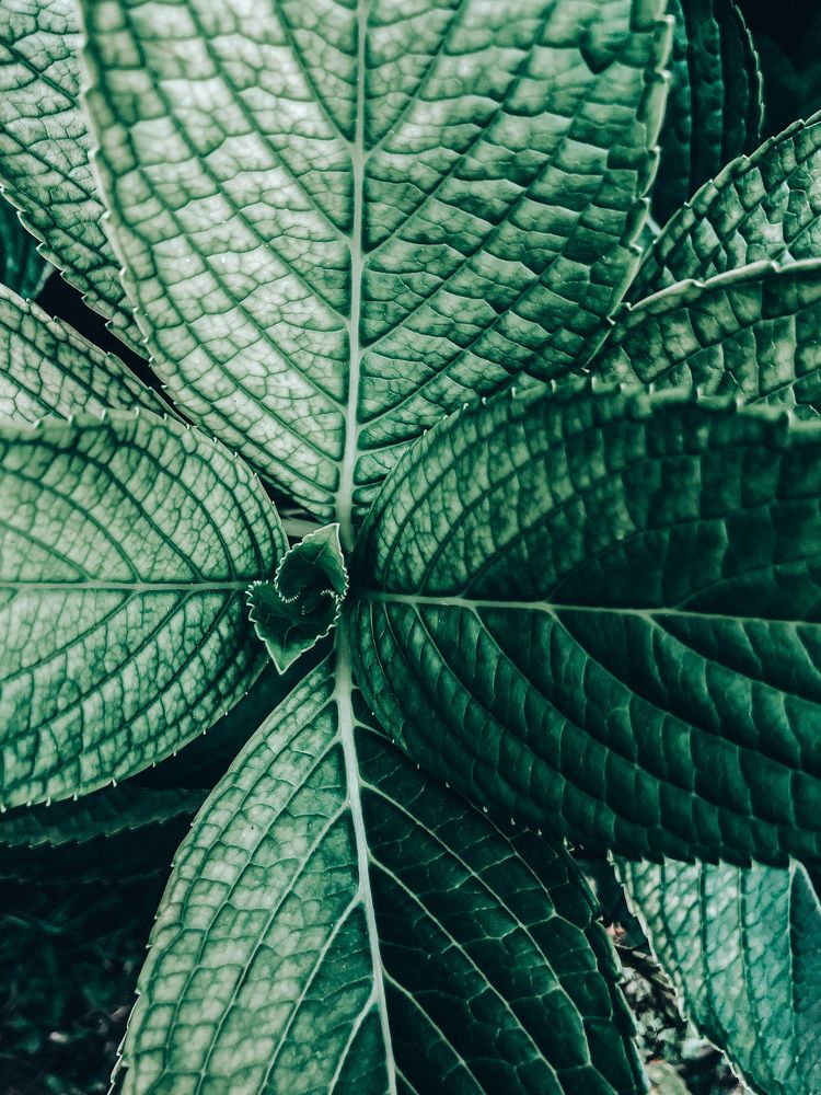 Photograph by Людмила Евстратова