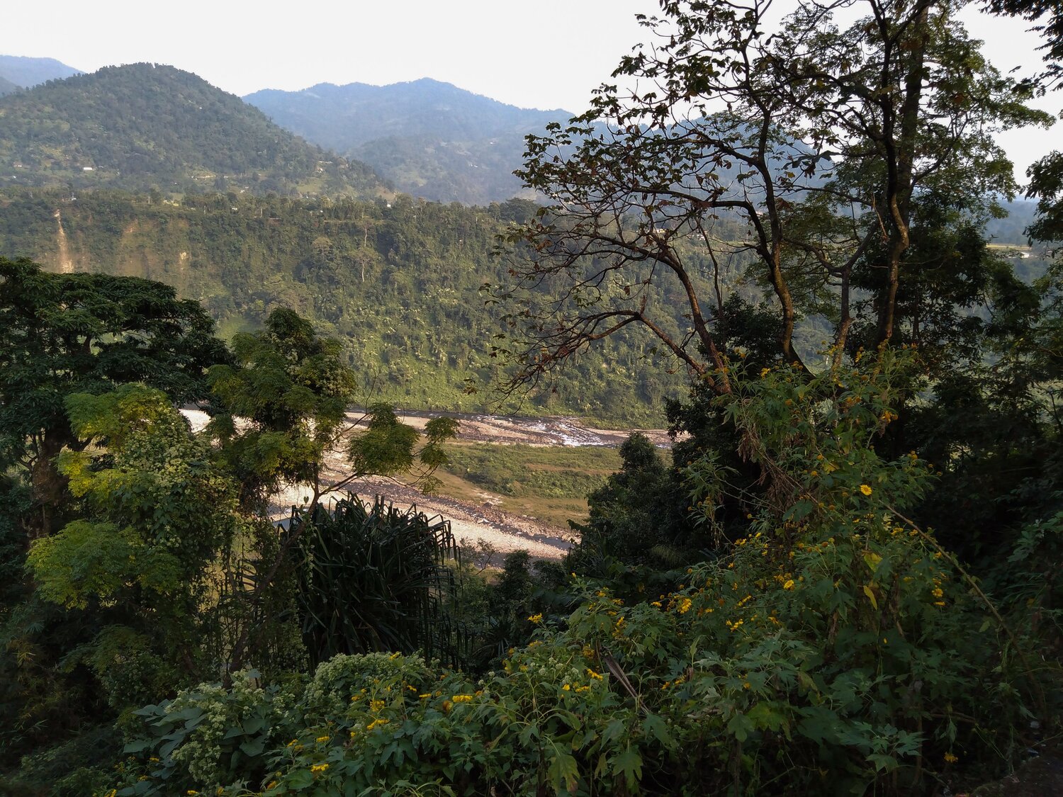 Photo #7960213