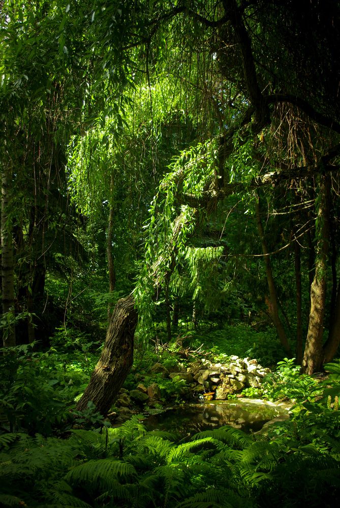 Фотография автора Ольга Неуймина