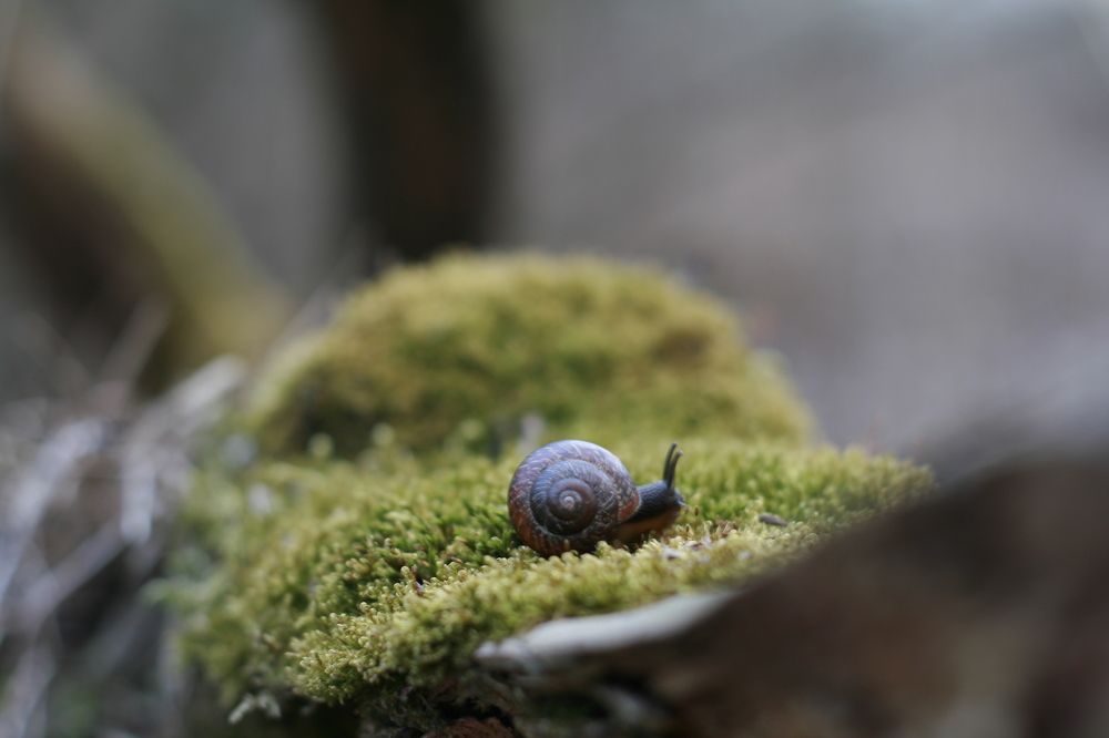 Photograph by Алиса Фредерикс