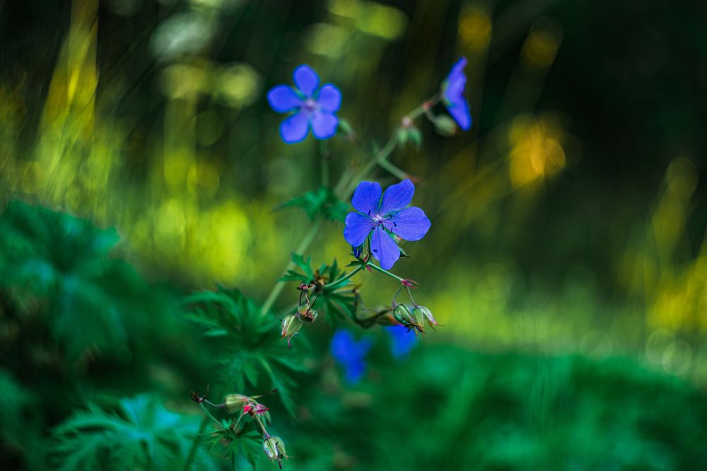 Photograph by Артём Александрович
